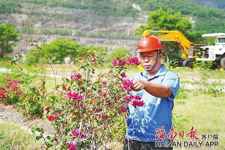 海南这座矿山，为何这么绿？4.jpg
