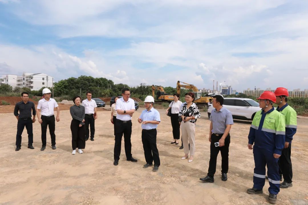 海南省工信厅到pp电子模拟器督导氢氧化锂项目建设