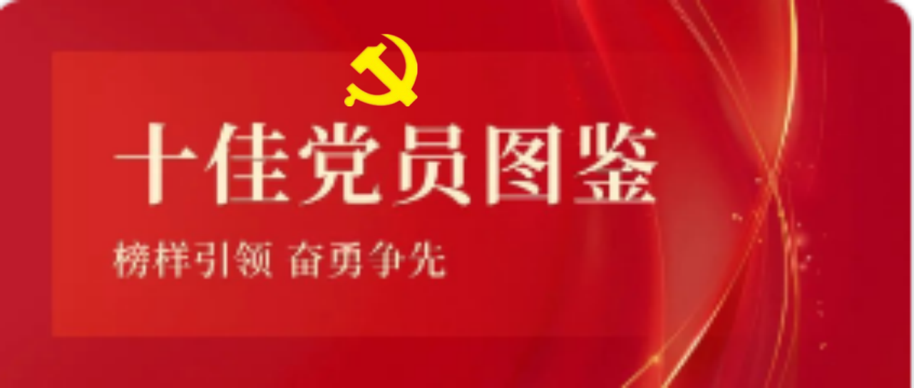 pp电子模拟器2023-2024年度十佳共产党员图鉴