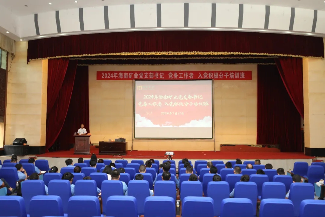 pp电子模拟器发展2024年党员教育培训
